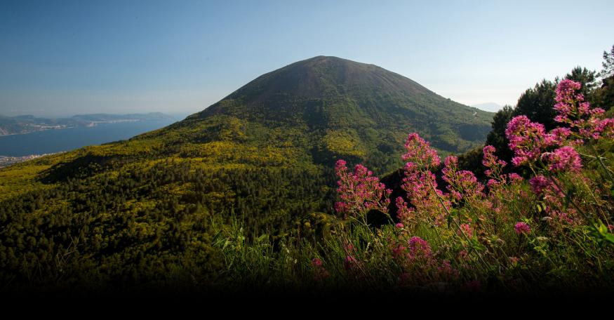 Parco Nazionale del Vesuvio
