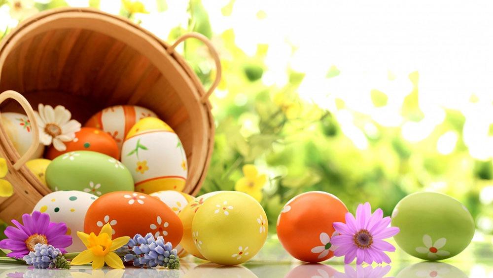Special Offer Easter